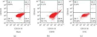 Flow Cytometry: CD34 Antibody (HPCA1/1171) [PE] [NBP2-47911PE] - Percent of EPCs (CD133 + CD34 +) reduced in the XYK group detected by flow cytometry. Data are mean +/- SD analyzed by one-way analysis of variance. **P < 0.01. CSDH, chronic subdural hematoma; EPC, endothelial progenitor cell; XYK, Xiaoyukang Jiaonang. Image collected and cropped by CiteAb from the following publication (//doi.org/10.1155/2020/2305017), licensed under a CC-BY license.