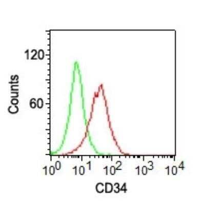 Flow Cytometry: CD34 Antibody (ICO-115) - Azide and BSA Free [NBP2-33076] - Analysis using the PE conjugate of this antibody. Surface Staining of CD34 on KG-1 cells using CD34 antibody (red) and isotype control (green) at 5 ul/0.5 ug/10^6 cells. PPI negative cell population was gated for analysis.