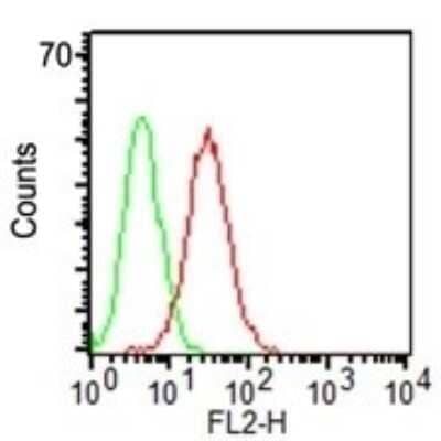 Flow Cytometry: CD34 Antibody (ICO-115) - Azide and BSA Free [NBP2-33076] - Flow Cytometry of KG-1 cells using CD34 antibody (ICO-115) (red) and isotype control (green).