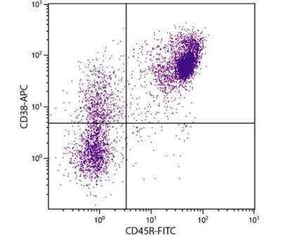 Flow Cytometry: CD38 Antibody (NIMR-5) [Allophycocyanin] [NBP1-27955] - BALB/c mouse splenocytes were stained with Rat Anti-Mouse CD38-APC (and Rat Anti-Mouse CD45R-FITC.   