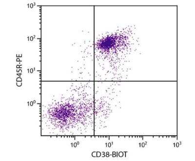 Flow Cytometry: CD38 Antibody (NIMR-5) [Biotin] [NBP1-27953] - BALB/c mouse splenocytes were stained with Rat Anti-Mouse CD38-BIOT and Rat Anti-Mouse CD45R-PE followed by Streptavidin-FITC. 