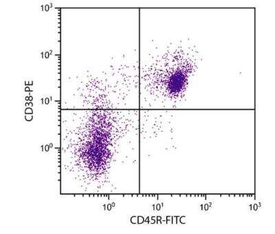 Flow Cytometry: CD38 Antibody (NIMR-5) [PE] [NBP1-27954] - BALB/c mouse splenocytes were stained with Rat Anti-Mouse CD38-PE and Rat Anti-Mouse CD45R-FITC. 