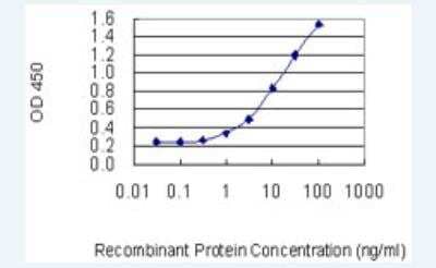 ELISA: CD39L3/ENTPD3 Antibody (3E8) [H00000956-M01-100ug] - Detection limit for recombinant GST tagged ENTPD3 is 0.3 ng/ml as a capture antibody.