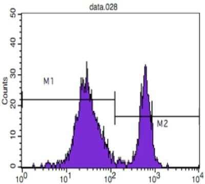 Flow Cytometry: CD4 Antibody (B486A1) - Azide and BSA Free [NBP2-80646] - Analysis of blood T cells using CD4 mouse mAb (M2) and negative control (M1). Image from the standard format of this antibody.