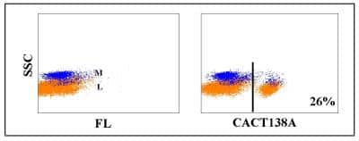 Flow Cytometry: CD4 Antibody (CACT138A) [NBP2-60886] - Obtained with bovine leukocytes
