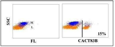 Flow Cytometry: CD4 Antibody (CACT83B) [NBP2-60888] - Obtained with bovine leukocytes