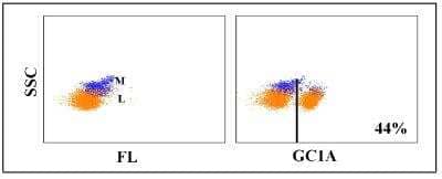 Flow Cytometry: CD4 Antibody (GC1A) [NBP2-60890] - Obtained with caprine leukocytes