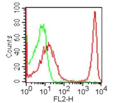Flow Cytometry: CD4 Antibody (GK1.5) [PE] [NBP2-26586] - Cell surface flow analysis of CD4 in 10^6 BALB/c mouse splenocytes using 1 ug of this antibody ; red represents mouse CD4 this antibody.