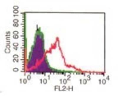 Flow Cytometry: CD4 Antibody (RPA-T4) - Azide Free [NBP2-27216] - analysis of CD4 in human PBMCs using 0.1 ug of this antibody. Secondary antibody is goat anti-mouse PE.