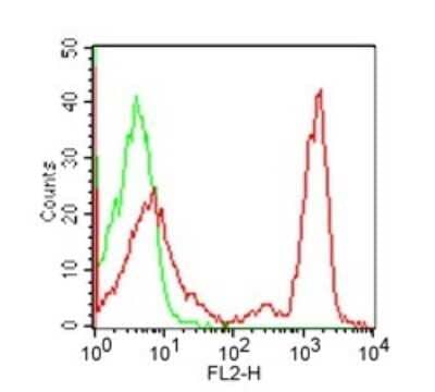 Flow Cytometry: CD4 Antibody (RPA-T4) - Azide Free [NBP2-27216] - Cell surface flow analysis of CD4 in human PBMC using this antibody at 0.25 ug/10^6 cells. Cells were stained with primary antibody followed by a PE-conjugated goat anti-mouse secondary antibody this antibody. Green represents isotype control; red represents anti-CD4 antibody. Cells in the lymphocyte gate were used for analysis. Image using the standard format of this product.