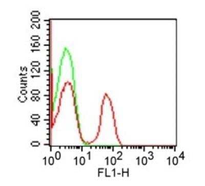 Flow Cytometry: CD4 Antibody (RPA-T4) [FITC] [NBP2-27216F] - Analysis using the FITC conjugate of NBP2-27216. Staining of CD4 in 1x10^6 human PBMC using 10 ul (0.1 ug) of was used to test this product. Propidium iodide negative lymphocyte population gated for analysis. Image using the Azide Free format of this antibody.