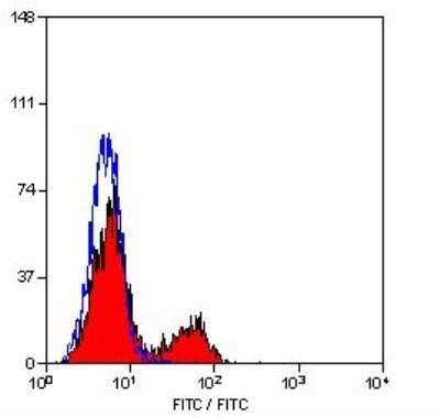 Flow Cytometry: CD4 Antibody (W3/25) - Azide and BSA Free [NBP2-80647] - Staining of stimulated rat spleen cells. Image from the standard format of this antibody.