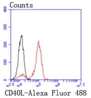 Flow Cytometry: CD40 Ligand/TNFSF5 Antibody (JM11-34) [NBP2-66756] - Analysis of THP-1 cells with CD40L antibody at 1/50 dilution (red) compared with an unlabelled control (cells without incubation with primary antibody; black). Alexa Fluor 488-conjugated goat anti rabbit IgG was used as the secondary antibody.