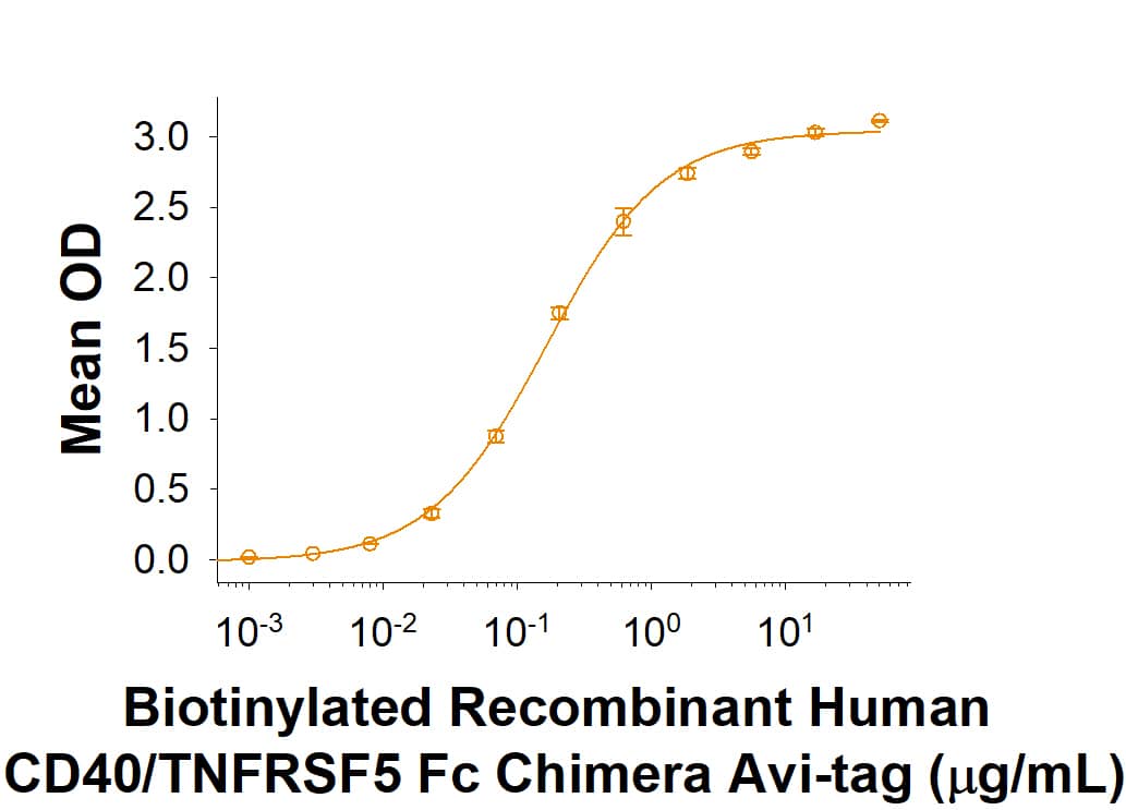 When Recombinant Human CD40 Ligand/TNFSF5 (HEK293-expressed) Protein (Catalog # 6420-CL) is immobilized at 2 µg/mL, 100 µL/well, the concentration of Biotinylated Recombinant Human CD40/TNFRSF5 Fc Chimera Avi-tag (Catalog # AVI10380) that produces 50% optimal binding is 0.0400-0.320 μg/mL.