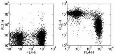 Flow Cytometry: CD43/Sialophorin Antibody (R2/60) [Biotin] [NBP1-43647] - Staining of C57BL/6 splenocytes with Anti-Human/Mouse CD45R (B220) APC and 0.25 ug of Rat IgM kappa Isotype Control Biotin (left) or 0.25 ug of Anti-Mouse CD43 Biotin (right) followed by Streptavidin PE. Cells in the lymphocyte gate were used for analysis.