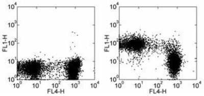 Flow Cytometry: CD43/Sialophorin Antibody (R2/60) [FITC] [NBP1-44011] - Staining of C57BL/6 splenocytes with Anti-Human/Mouse CD45R (B220) APC and 0.06 ug of Rat IgM kappa Isotype Control FITC (left) or 0.06 ug of Anti-Mouse CD43 FITC (right). Cells in the lymphocyte gate were used for analysis.