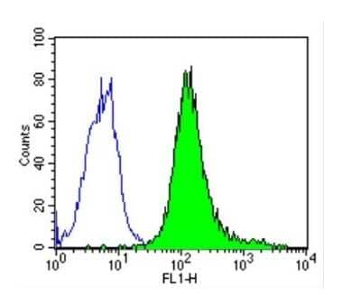 Flow Cytometry: CD44 Antibody (1M7.8.1) [NBP2-22436] - Analysis of CD44 in Hela cells (green) compared to an isotype control (blue).