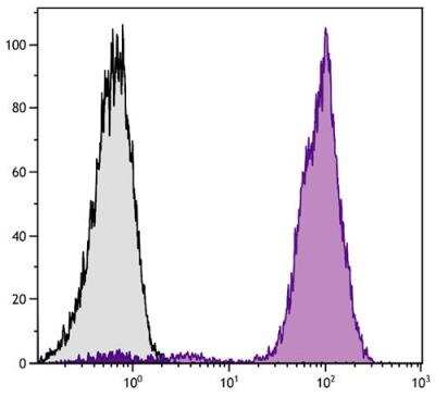 Flow Cytometry: CD44 Antibody (AV6) [NBP1-28345] - Chicken peripheral blood lymphocytes were stained with Mouse Anti-Chicken CD44-PE (SB Cat. No. 8400-09).