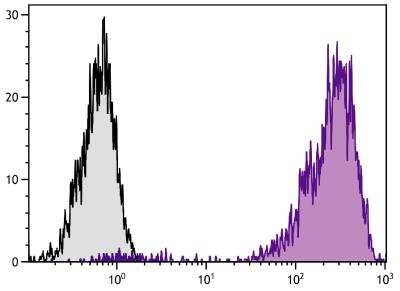 Flow Cytometry: CD44 Antibody (F10-44-2) [Biotin] [NBP1-28387] - Human peripheral blood lymphocytes were stained with Mouse Anti-Human CD44-PE (NBP1-28388).