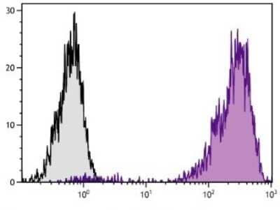 Flow Cytometry: CD44 Antibody (F10-44-2) [FITC] [NBP1-28386] - Analysis of peripheral blood lymphocytes.