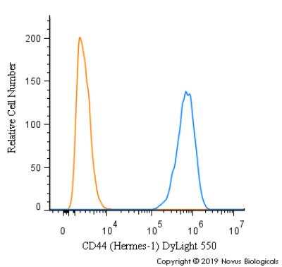 Flow Cytometry: CD44 Antibody (Hermes-1) [DyLight 550] [NBP2-22530R] - A surface stain was performed on U-87 cells with CD44 (Hermes-1) Antibody NBP2-22530R (blue) and a matched isotype control (orange).  Cells were incubated in an antibody dilution of 5 ug/mL for 20 minutes at room temperature. Both antibodies were conjugated to DyLight 550.