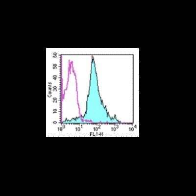 Flow Cytometry: CD44 Antibody (IM7) [FITC] [NBP1-41266F] - Staining of C57BL/6 splenocytes with 0.25 ug of Rat IgG2b kappa Isotype Control FITC (cat. 11-4031) (open histogram) or 0.25 ug of Anti-Human/Mouse CD44 FITC (filled histogram). Total viable cells were used for analysis.