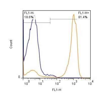 Flow Cytometry: CD45 Antibody (30-F11) - Azide and BSA Free [NBP2-80652] - Analysis of CD45 (30F11) in freshly isolated mouse (Balb C) splenocytes (1x10^6) were stained with CD45 antibody (30-F11) (NB100-77417) at 1:1000 dilution and detected with FITC conjugated donkey anti-rat IgG secondary (orange). Shown with rat IgG isotype control (blue). Image from the standard format of this antibody.