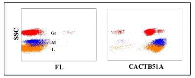 Flow Cytometry: CD45 Antibody (CACTB51A) [NBP2-60907] - Flow Cytometry analysis with CD45 antibody (CACTB51A) [NBP2-60907]. Obtained with bovine leukocytes.