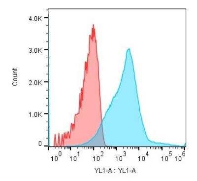 Flow Cytometry: CD45 Antibody (F10-89-4) [PE] [NBP1-28512] - Human CD8+ T-cells were isolated from human PBMCs and stained with CD45 antibody (F10-89-4) [PE] (YL-1). Image from verified customer review.