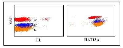 Flow Cytometry: CD45 Antibody (HAT13A) [NBP2-60910] - Flow Cytometry analysis using CD45 antibody (HAT13A) [NBP2-60910]. Obtained with hamster leukocytes