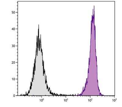 Flow Cytometry: CD45 Antibody (I3/2.3) [FITC] [NBP1-27973] - BALB/c mouse splenocytes were stained with Rat Anti-Mouse CD45 antibody (I3/2.3) [FITC] [NBP1-27973].