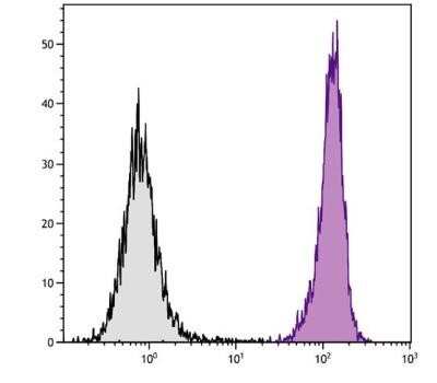 Flow Cytometry: CD45 Antibody (I3/2.3) [NBP1-27970] - BALB/c mouse splenocytes were stained with Rat Anti-Mouse FITC-conjugated CD45 antibody (I3/2.3) [NBP1-27973].