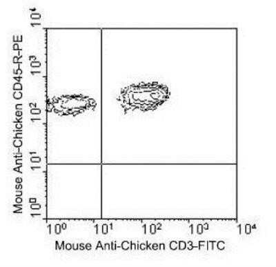 Flow Cytometry: CD45 Antibody (LT40) [NBP1-28295] - Chicken thymocytes were double-stained with R: PE labeled mouse anti-chicken CD45 antibody (LT40) [NBP1-28295] and mouse anti-chicken CD3: FITC. Small lymphocytes were then gated and analyzed by flow cytometer.