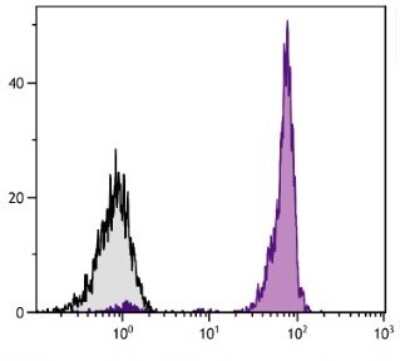 Flow Cytometry: CD45 Antibody (LT40) [PE] [NBP1-28298] - Analysis of peripheral blood mononuclear cells with CD45 antibody (LT40).