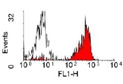 Flow Cytometry: CD45 Antibody (YKIX716.13) [NB100-65906] - Staining of canine peripheral blood lymphocytes with rat anti-canine CD45 antibody (YKIX716.13) [NB100-65906], using F(ab')2 rabbit anti rat IgG: FITC (STAR17B) as a secondary antibody.