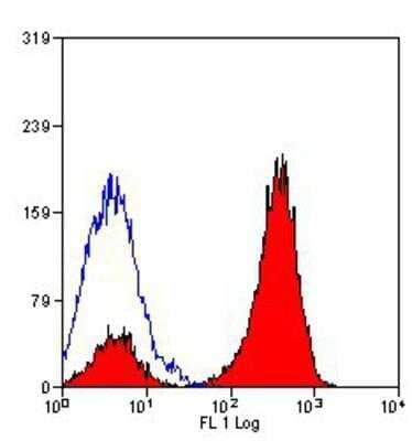 Flow Cytometry: CD45 Antibody (YW62.3) [NB100-65366] - Staining of mouse spleen cells with CD45 antibody (YW62.3) [NB100-65366].