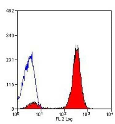 Flow Cytometry: CD45 Antibody (YW62.3) [NB100-65366] - Staining of mouse spleen cells with the PE-conjugated version of CD45 antibody (YW62.3) [NB100-65366].