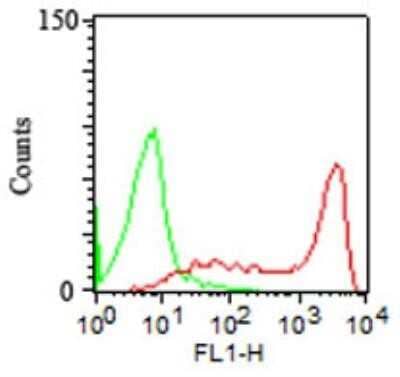 Flow Cytometry: CD45RA Antibody (158-4D3) - Azide and BSA Free [NBP2-33144] - Surface staining of 10^6 PBMC using 1 ug of CD45RA antibody (red), anti mouse IgG FITC secondary and mouse IgG2a isotype control (green).