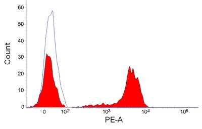 Flow Cytometry: CD45RA Antibody (MIL13) [NB100-64997] - Analysis of porcine peripeheral blood lymphocytes with antibody followed by Goat anti Mouse IgG:RPE