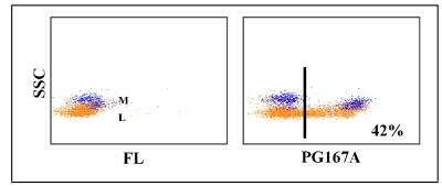 Flow Cytometry: CD45RA Antibody (PG167A) [NBP2-60912] - Obtained with pig leukocytes