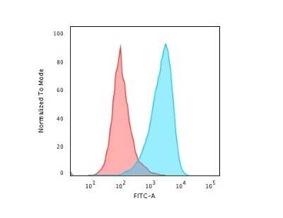 Flow Cytometry: CD45RB Antibody (PTPRC/2877R) - Azide and BSA Free [NBP3-08924] - Flow Cytometric Analysis of paraformaldehyde-fixed Raji cells using CD45RB Rabbit Recombinant Monoclonal Antibody (PTPRC/2877R) followed by Goat anti-rabbitIgG-CF488 (Blue); Isotype Control (Red).