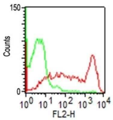 Flow Cytometry: CD45RO Antibody (UCHL-1) - Azide and BSA Free [NBP2-33104] - CD45RO expression by lymphocyte gated population of PBMC: PBMC were stained either with purified CD45RO antibody (0.5 ug/10^6 cells) or isotype control following surface staining protocol. PE-conjugated goat anti-mouse IgG, secondary antibody used to identify the positive staining on PPI negative lymphocyte gated population.