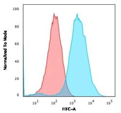 Flow Cytometry: CD47 Antibody (CD47/3019) - Azide and BSA Free [NBP3-08976] - Flow Cytometry: CD47 Antibody (CD47/3019) - Flow Cytometry: CD47 Antibody (CD47/3019) [NBP3-08975] - Flow Cytometric Analysis of PFA-fixed MCF-7 cells using CD47 Mouse Monoclonal Antibody (CD47/3019) followed by goat anti-mouse IgG-CF488 (blue); isotype control (red).