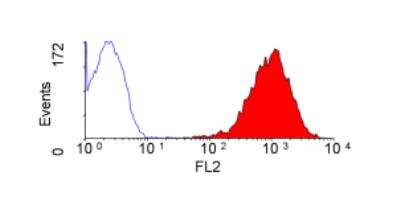 Flow Cytometry: CD47 Antibody (OX-101) [NB100-66632] - Staining of Rat Spleen cells with Mouse anti Rat CD47:RPE