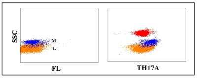 Flow Cytometry: CD47 Antibody (TH17A) [NBP2-60921] - Obtained with bovine leukocytes