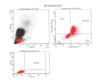 Flow Cytometry: CD5 Antibody (CD5/54/F6) [Alexa Fluor® 700] [NBP2-34593AF700] - T cell characterization in canine whole blood cells.  From a verified customer review.