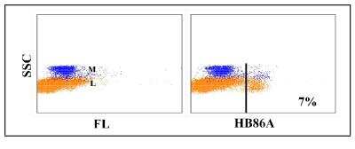 Flow Cytometry: CD5 Antibody (HB86A) [NBP2-60928] - Obtained with equine leukocytes