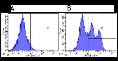 Flow Cytometry: CD52 Antibody (Campath-1H) [NBP2-75896] - Flow-cytometry using anti-CD52 antibody Campath-1H (NBP2-75896). Cynomolgus monkey lymphocytes were stained with an isotype control (NBP2-52638, panel A) or the rabbit-chimeric version of Campath-1H (NBP2-75189, panel B) at a concentration of 1 ug/ml for 30 mins at RT. After washing, bound antibody was detected using a AF488 conjugated donkey anti-rabbit antibody and cells analysed on a FACSCanto flow-cytometer.