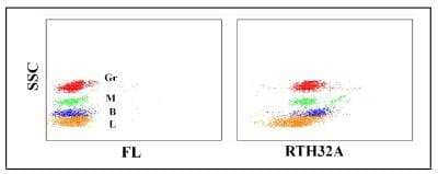 Flow Cytometry: CD58/LFA-3 Antibody (RTH32A) [NBP2-60929] - Obtained with rabbit leukocytes