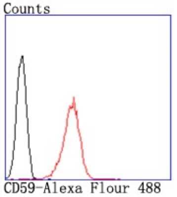 Flow Cytometry: CD59 Antibody (JM10-71) [NBP2-66758] - Flow cytometric analysis of NIH-3T3 cells with CD59 antibody at 1/50 dilution (red) compared with an unlabeled control (cells without incubation with primary antibody; black). Alexa Fluor 488-conjugated goat anti rabbit IgG was used as the secondary antibody.